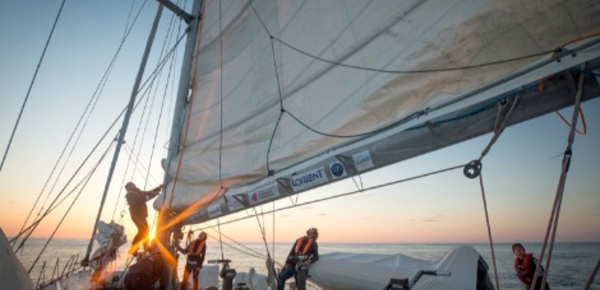 Tara, le voilier scientifique (2/2)