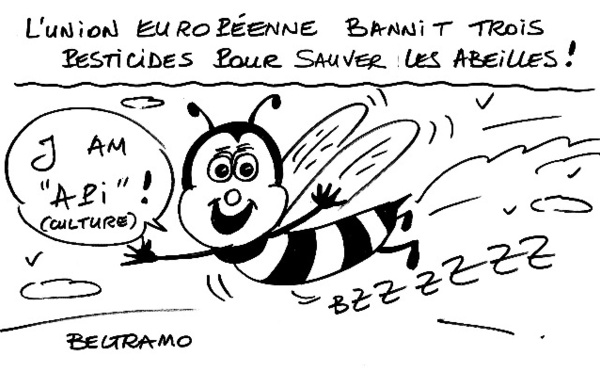 Abeilles heureuses