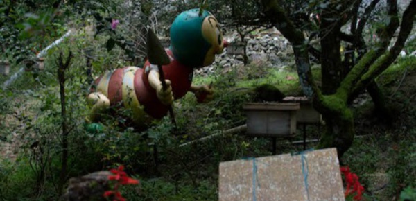 Disparition des abeilles: l'UE réagit enfin