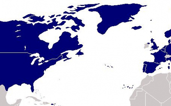 Affaires internationales - L’atlantisme aujourd’hui : Europe, Turquie, Afghanistan