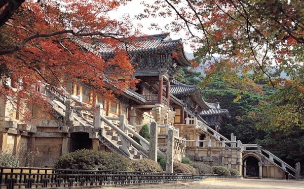 Les lauréats des Prix d'alphabétisation 2010 de l'UNESCO