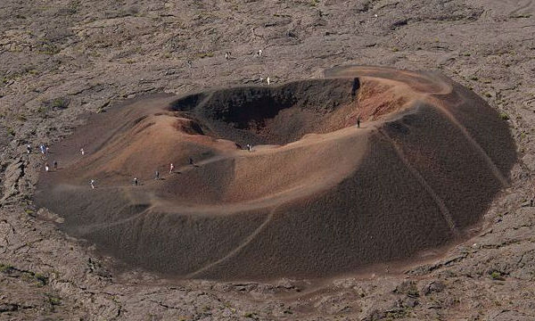 L'IMAGE DU JOUR: Le Formica Leo