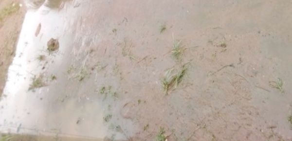 Fortes pluies et perturbations des réseaux électriques au Cameroun