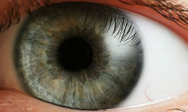 L'IMAGE DU JOUR: Œil humain