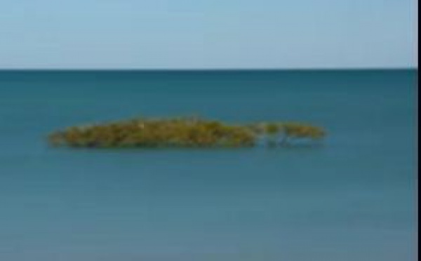 PROTÉGER LES OCÉANS EST UNE RESPONSABILITÉ COLLECTIVE