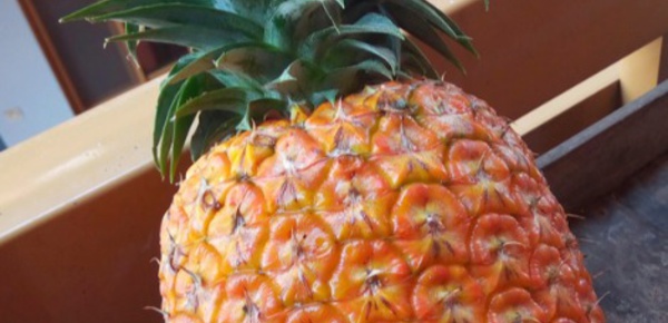 Le commerce de l’ananas