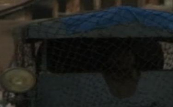 L’actualité des droits humains et de leurs violations