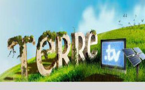 AUTO: TerreTv a testé les voitures écologiques 