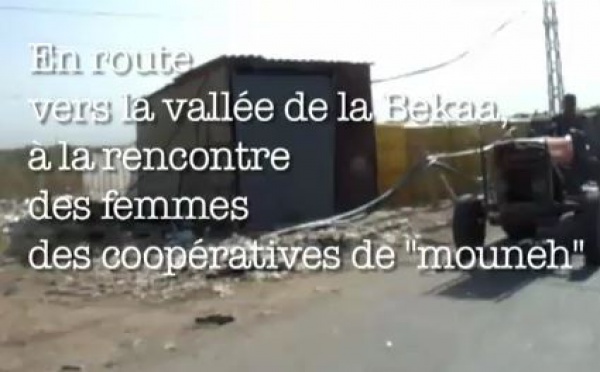 L'Italie et l'ONUDI aident les entreprises touchées par la guerre de 2006 au Liban
