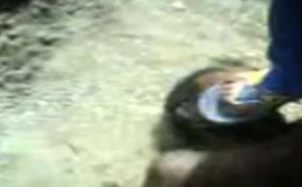 L'actualité des droits humains et de leurs violations, en Indonésie: La vidéo sur des actes de torture infligés à des Papous en Indonésie impose l’ouverture d’une enquête indépendante