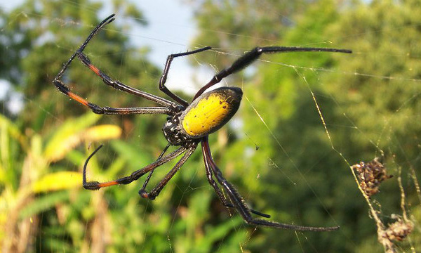 L'IMAGE DU JOUR: Bibe