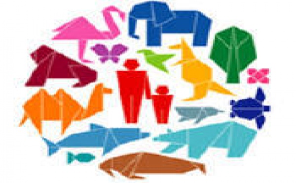 CONFERENCE DE NAGOYA: La biodiversité, notre capital naturel