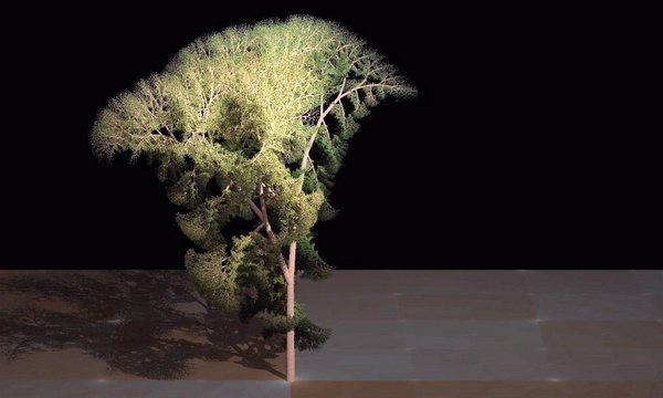 L'IMAGE DU JOUR: Arbre fractal