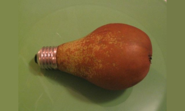 L'IMAGE DU JOUR: Ampoule