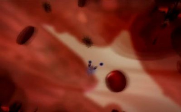 MicroBot, la bataille dans le corps humain commence !