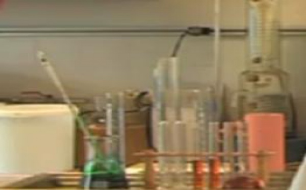 La chimie est à l'honneur cette année !