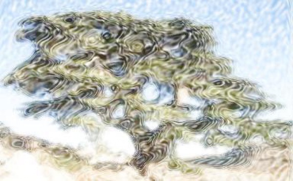 Au Liban, un narcissisme pas comme les autres