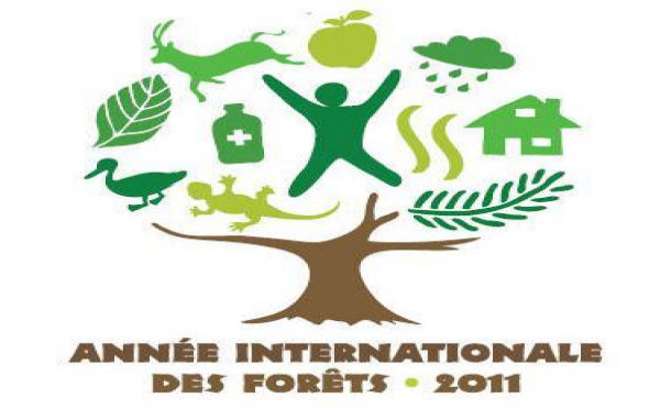 1,6 milliard de personnes menacées par la dégradation des forêts mondiales