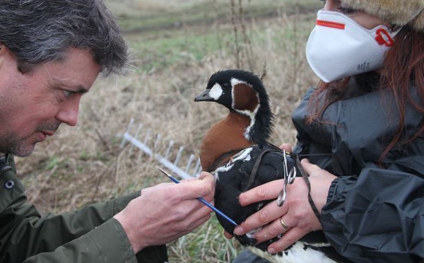 Première mondiale pour la nature pour les espèces menacées d'extinction