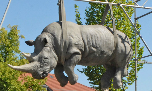 L'IMAGE DU JOUR: Rhinocéros suspendu
