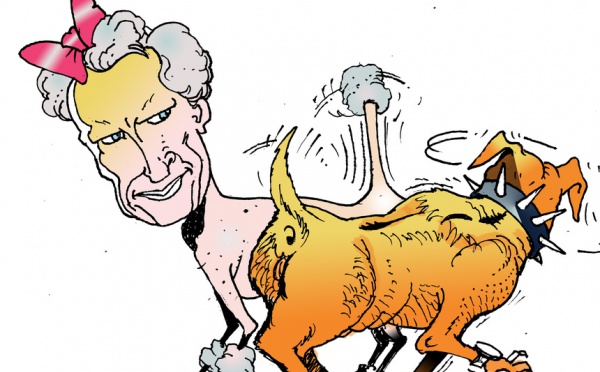 DESSIN DE PRESSE: Rencontre près du réverbère, dans la cour de l'Élysée