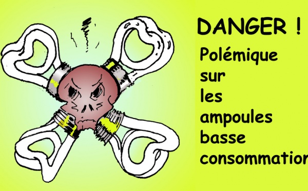 DESSIN DE PRESSE: Une polémique éclairante