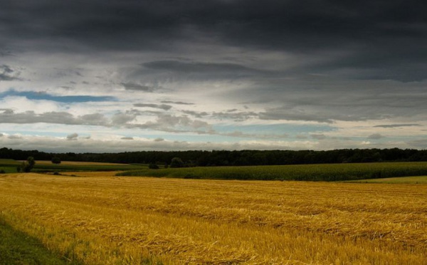 Soutien aux petites entreprises semencières
