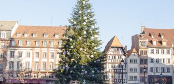 Strasbourg: le sapin de Noël est arrivé!