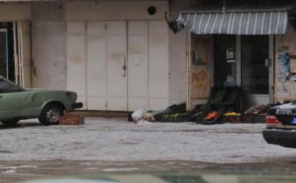 La tempête 'Cedrus Libani'