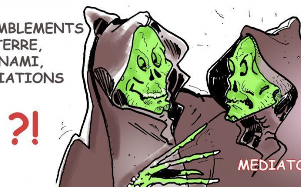 DESSIN DE PRESSE: La forêt ne doit pas cacher le baobab!