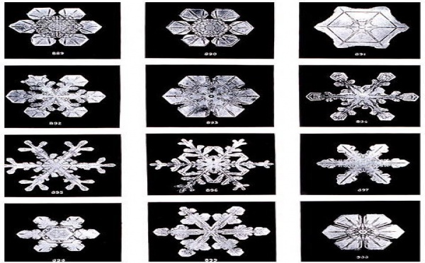 L'IMAGE DU JOUR: Cristaux de neige