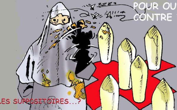 DESSIN DE PRESSE - Election ou votation ?