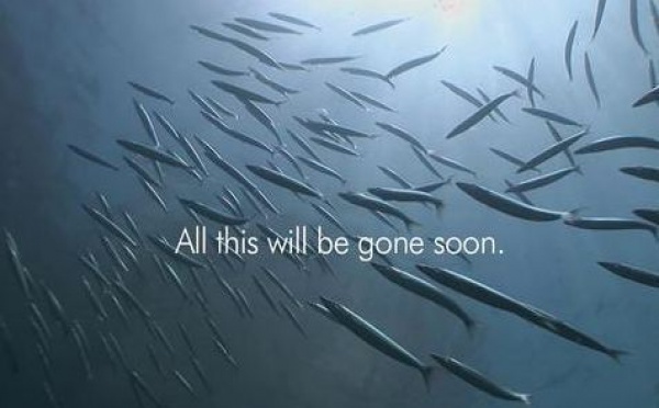 L'ONU S'ATTAQUE À LA POLLUTION MARINE