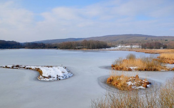 L'IMAGE DU JOUR: Le lac de Malsaucy