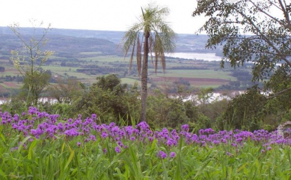 L'IMAGE DU JOUR: Río Uruguay