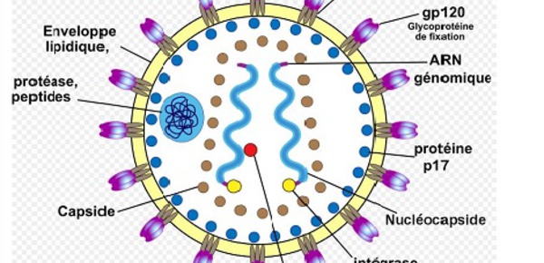 Autotests VIH, quand le dépistage s’invite à domicile