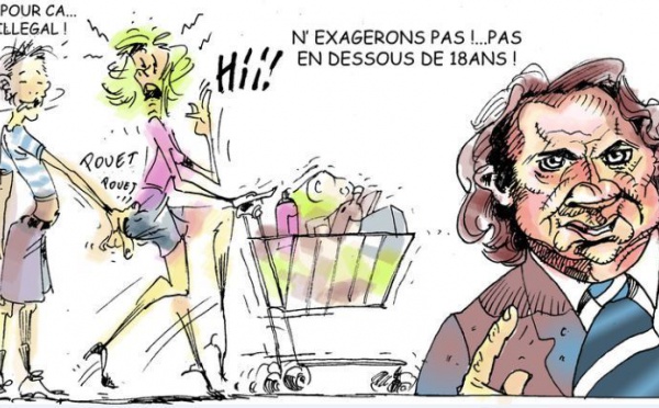 DESSIN DE PRESSE: Coup de main au panier de la ménagère