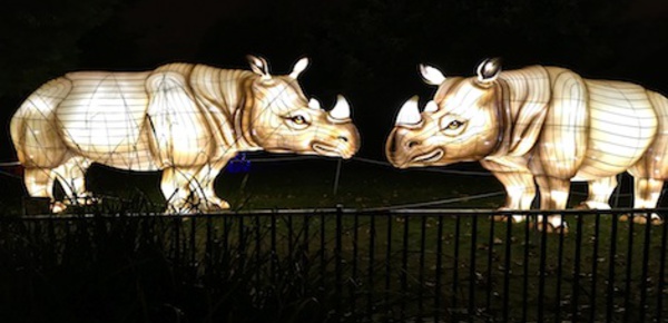 Des espèces en voie d’illumination