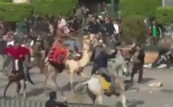 Une délégation de l’ONU félicite l'Egypte pour ses avancées démocratiques