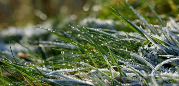 Les conditions de vie en hiver