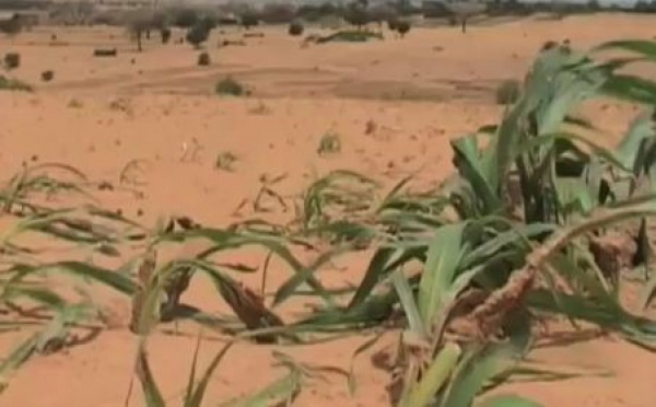 Concept de sécurité humaine dans les relations internationales