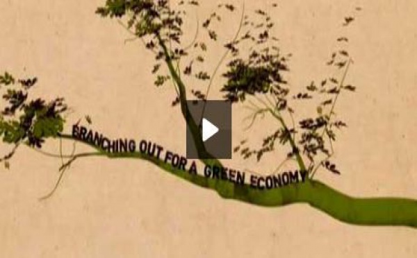Débat sur l'économie verte