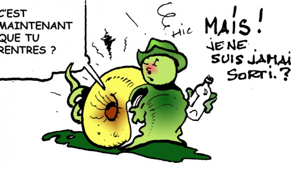 DESSIN DE PRESSE: Crise du logement