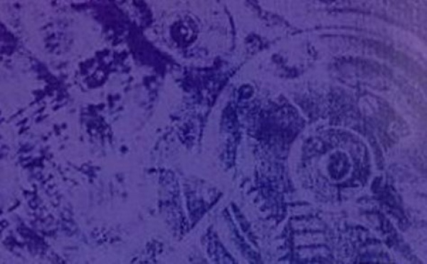 La mémoire puise-t-elle sa force dans l'apprentissage?