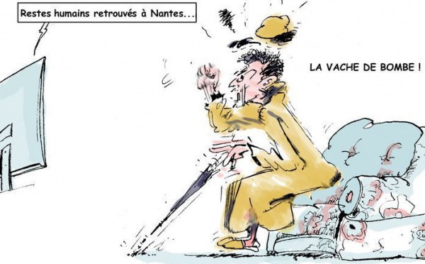 DESSIN DE PRESSE - Une belle vitrine?