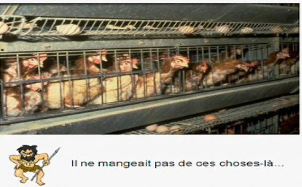 Nos ancêtres mangeaient-ils mieux que nous ? 