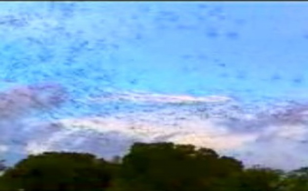  La nature nous a-t-elle révélé tous ses secrets ?