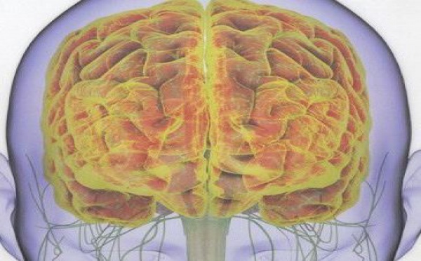 Nous avons un deuxième cerveau !