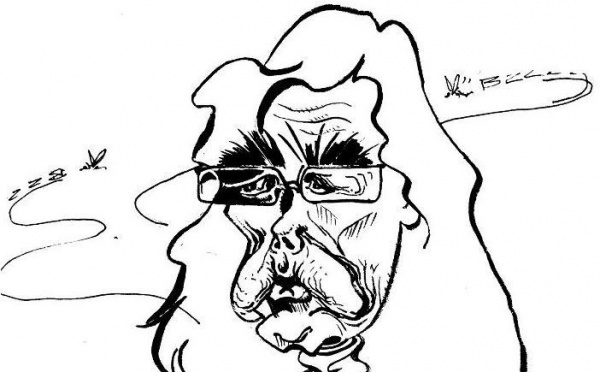 DESSIN DE PRESSE: Si peu dérangée