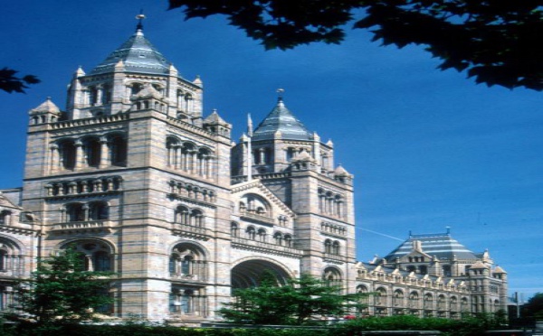 L'IMAGE DU JOUR: The British Natural History Museum